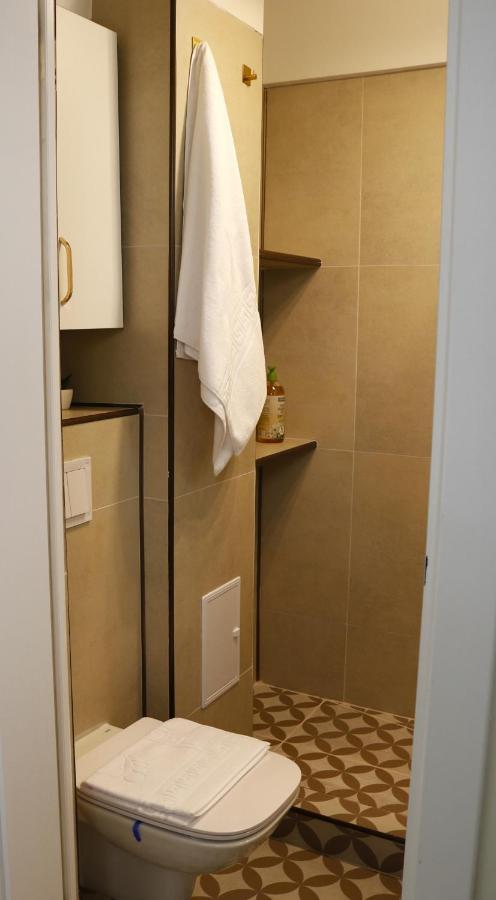 Apartment Mina Center Amzei *