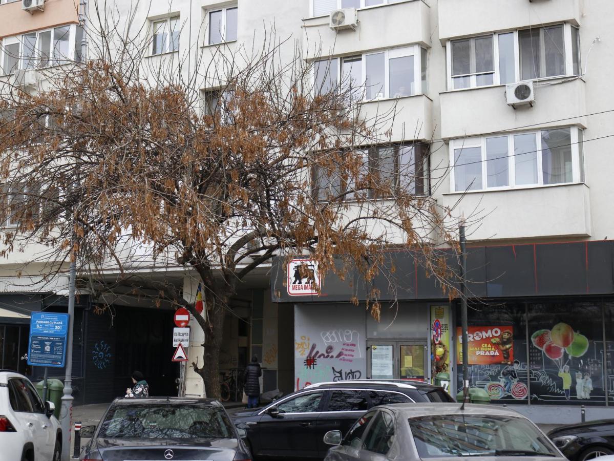Apartment Mina Center Amzei Bucharest
